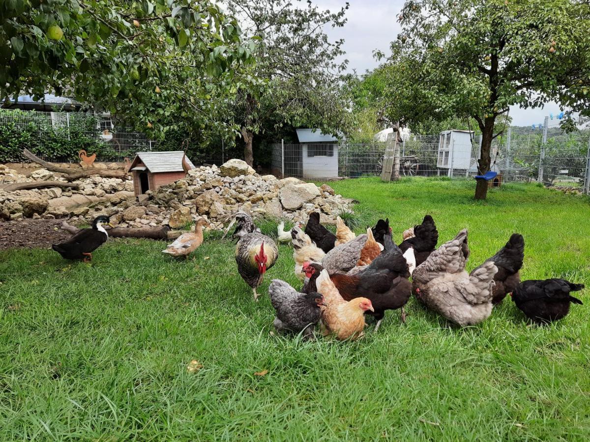Ferienhaus Annodazumol Waischenfeld Bagian luar foto